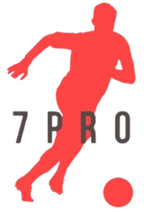 7 PRO